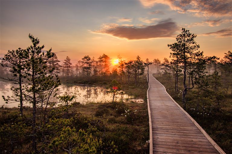 Wandern im Baltikum ©Peter/adobestock